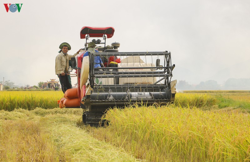 khep lai noi dau qua khu, noong nhai vuon minh phat trien hinh 4