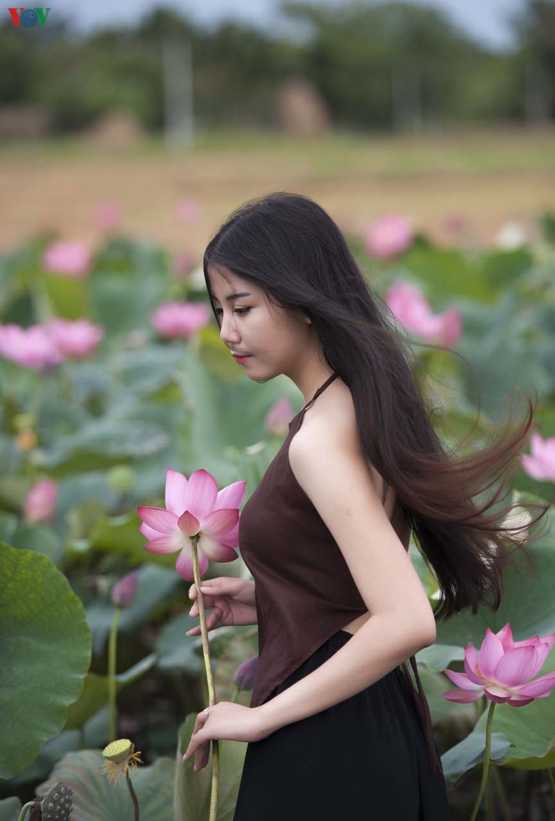 hue - thanh pho cua nhung sac hoa mua ha hinh 13