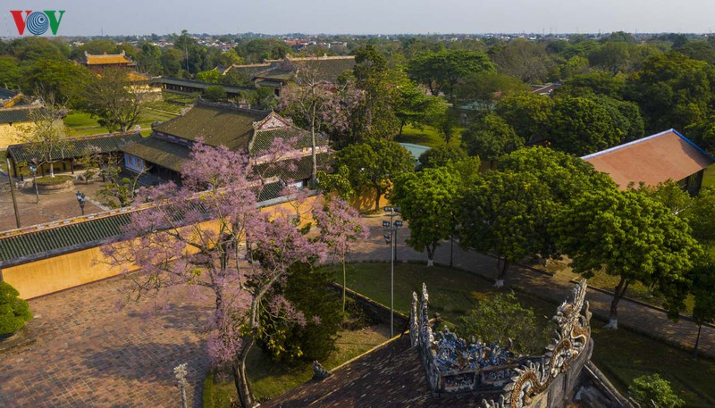hue - thanh pho cua nhung sac hoa mua ha hinh 2