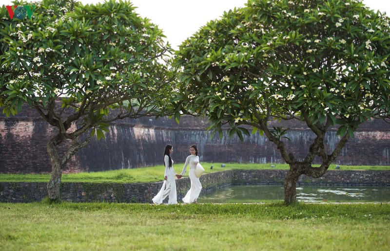 hue - thanh pho cua nhung sac hoa mua ha hinh 3