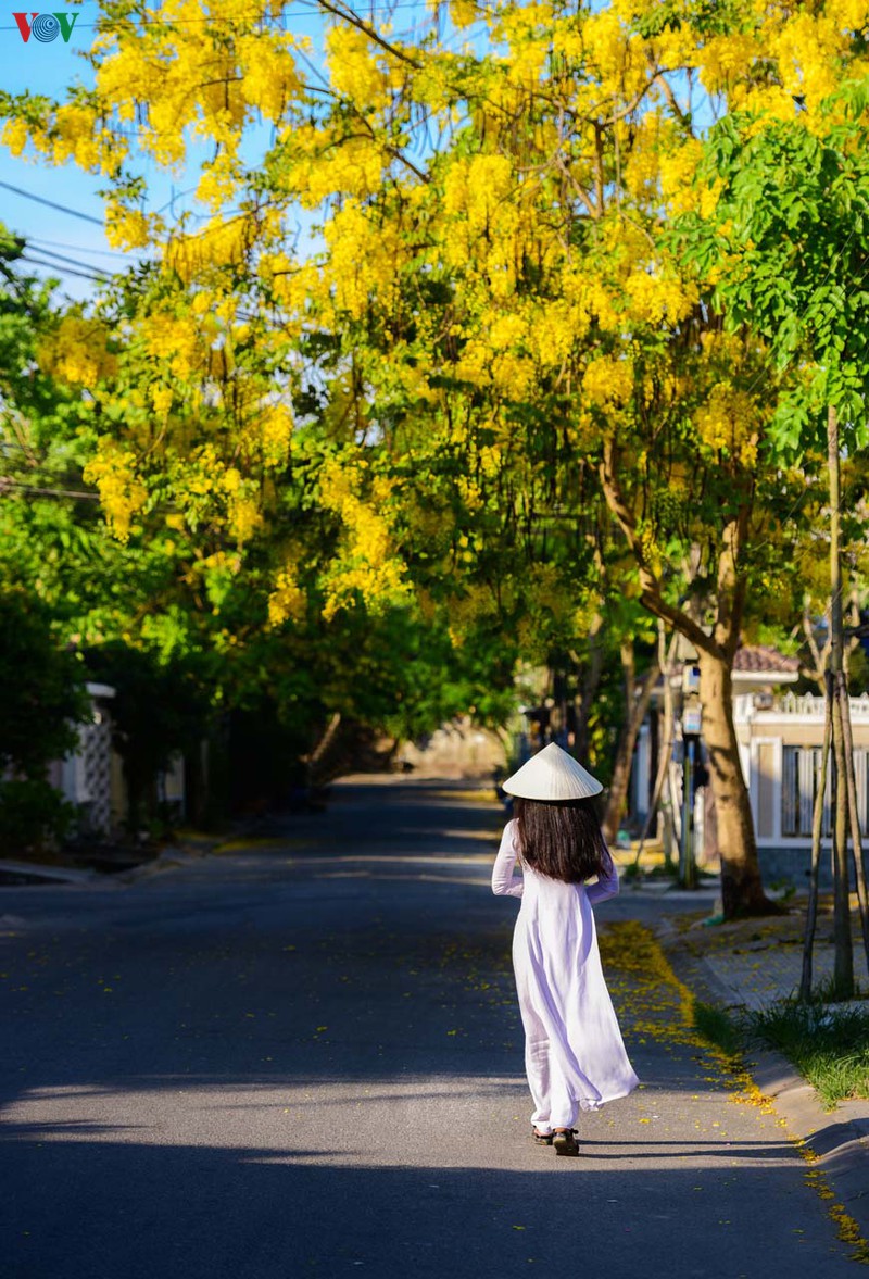 hue - thanh pho cua nhung sac hoa mua ha hinh 5