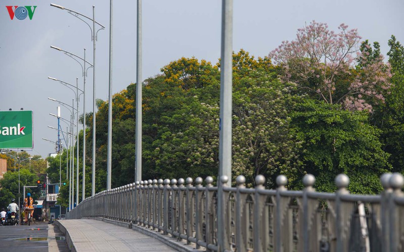 hue - thanh pho cua nhung sac hoa mua ha hinh 8