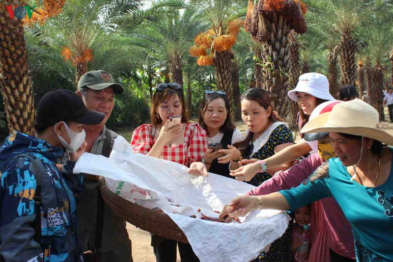 chiem nguong ve dep cua vuon cha la lon nhat mien tay hinh 11