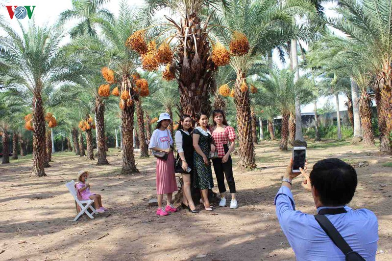 chiem nguong ve dep cua vuon cha la lon nhat mien tay hinh 13