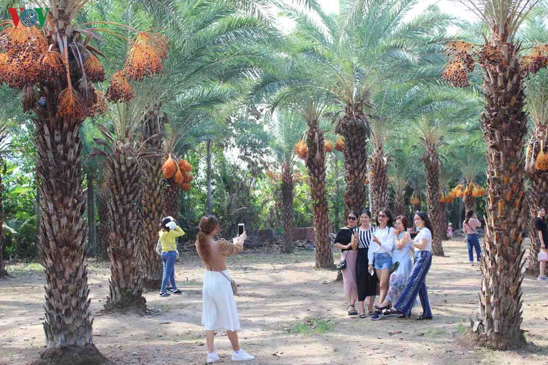 chiem nguong ve dep cua vuon cha la lon nhat mien tay hinh 3