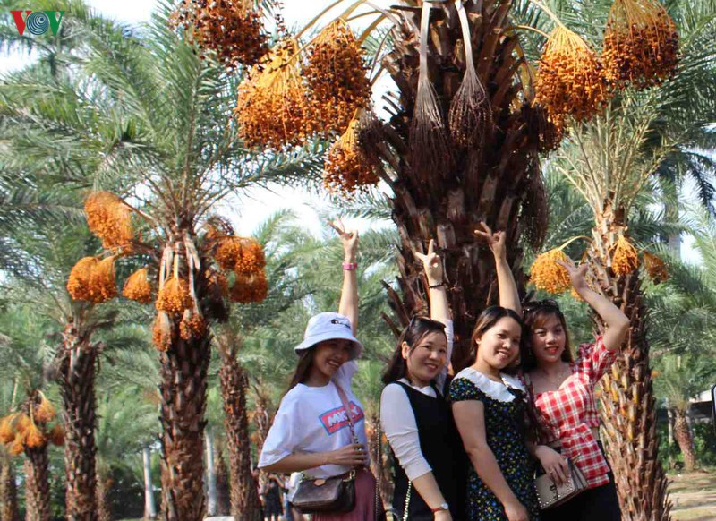 chiem nguong ve dep cua vuon cha la lon nhat mien tay hinh 9