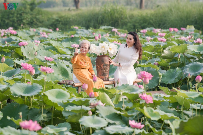 dep nao long mua sen thang 6 ha noi hinh 18