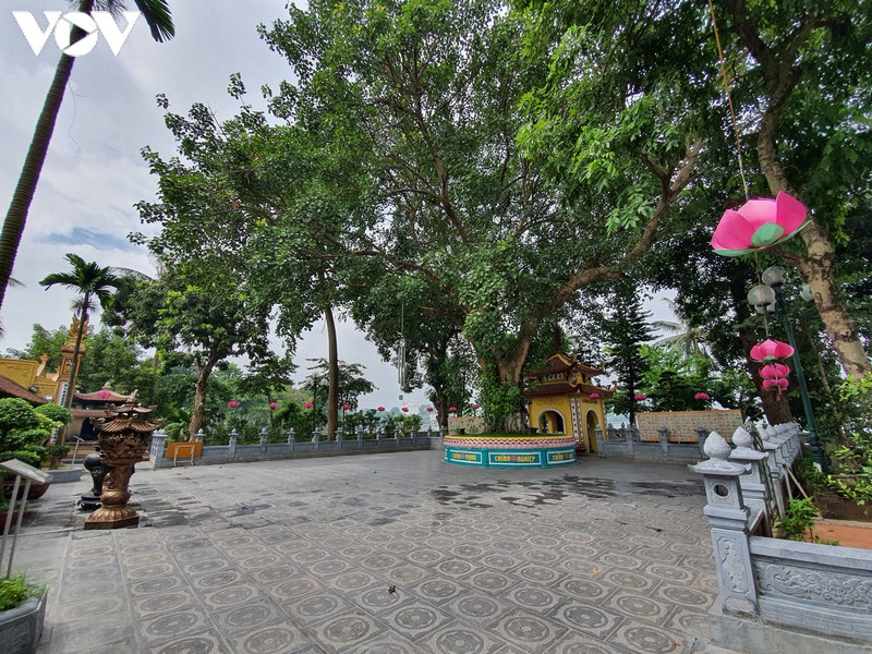 nhieu di tich, danh lam thang canh tai ha noi van mo cua nhung khong co khach hinh 5