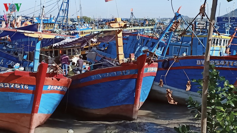 ngu dan tinh chuyen ban tau khi chi phi cao, lao dong khan hiem hinh 2