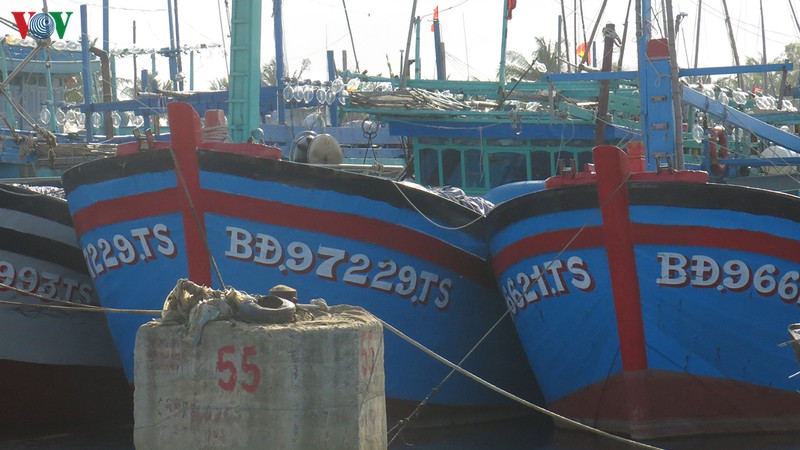 ong "vua" tau danh bat xa bo hinh 1