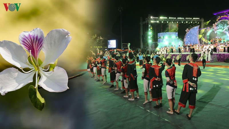 dung to chuc le hoi hoa ban nam 2020 hinh 1