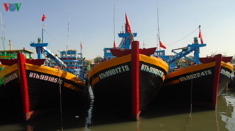 nhieu tau cong suat lon o binh thuan chua the ra khoi danh bat sau tet hinh 2