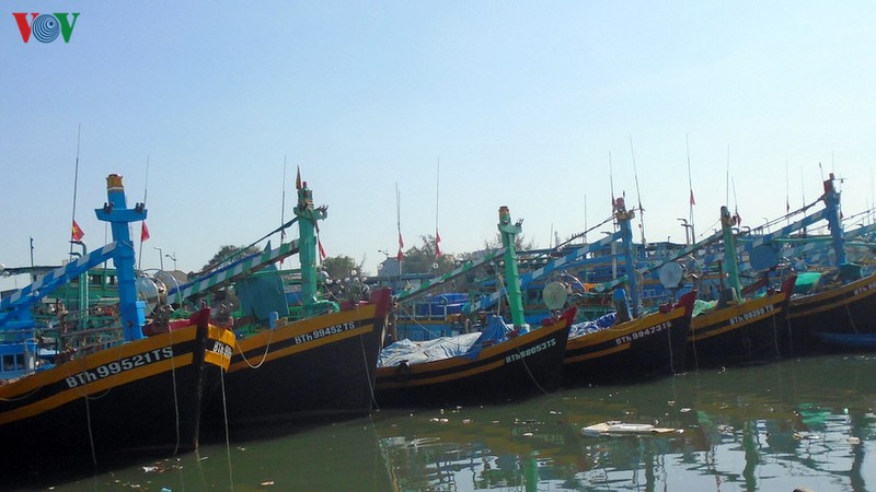 nhieu tau cong suat lon o binh thuan chua the ra khoi danh bat sau tet hinh 1