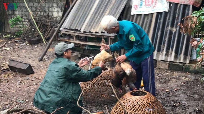 xam nhap vung dich cum a h5n6 tai thanh hoa hinh 1