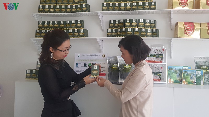 co gai tre khoi nghiep thanh cong tu nuoi trong tao xoan spirulin hinh 1