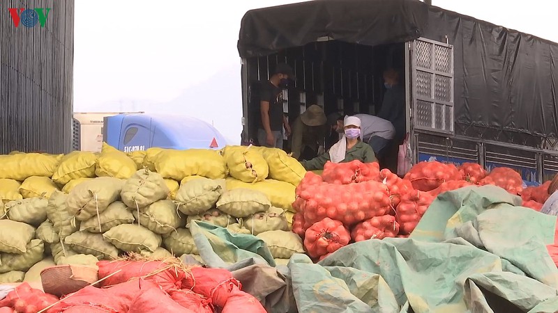 khac phuc tinh trang qua tai trong bai hang hoa cua khau lao cai hinh 2