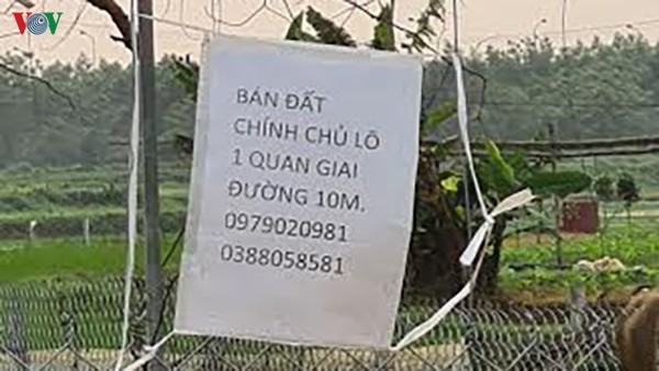"sot ao" va chieu tro cua cac co dat trong mua dich hinh 1
