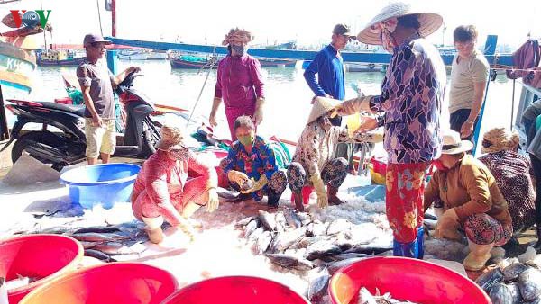khai thac thuy san gap kho, ngu dan khong muon ra khoi hinh 1