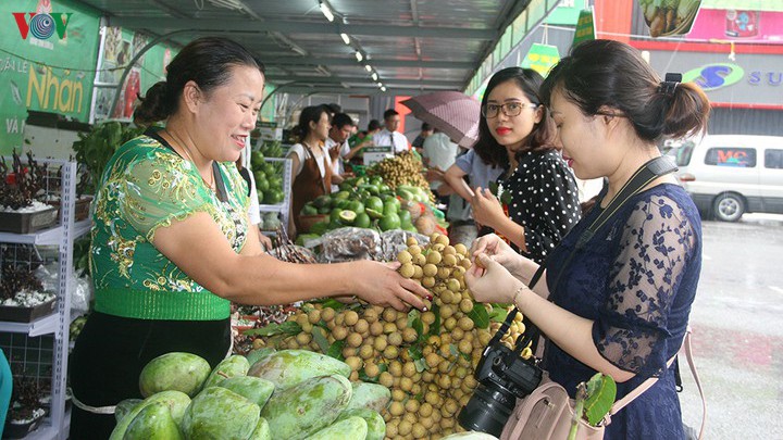 mo rong co hoi tieu thu nong san va xuat khau nong san chu luc hinh 1