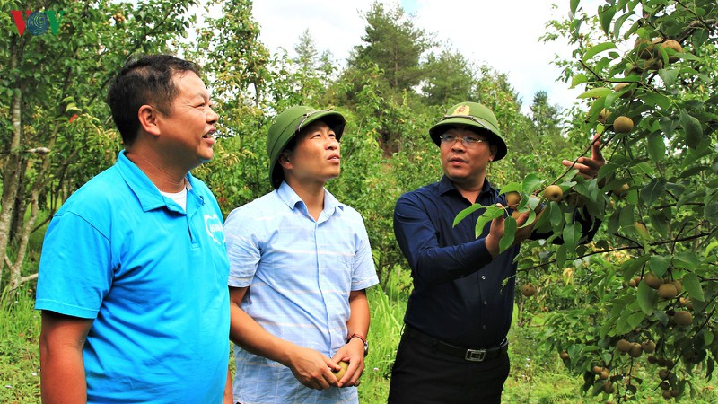 "cay moi" danh thuc dat kho mu cang chai hinh 9