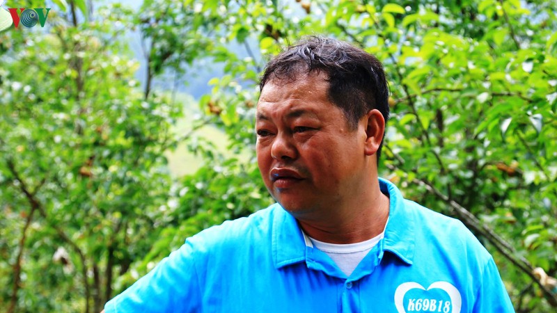 "cay moi" danh thuc dat kho mu cang chai hinh 4