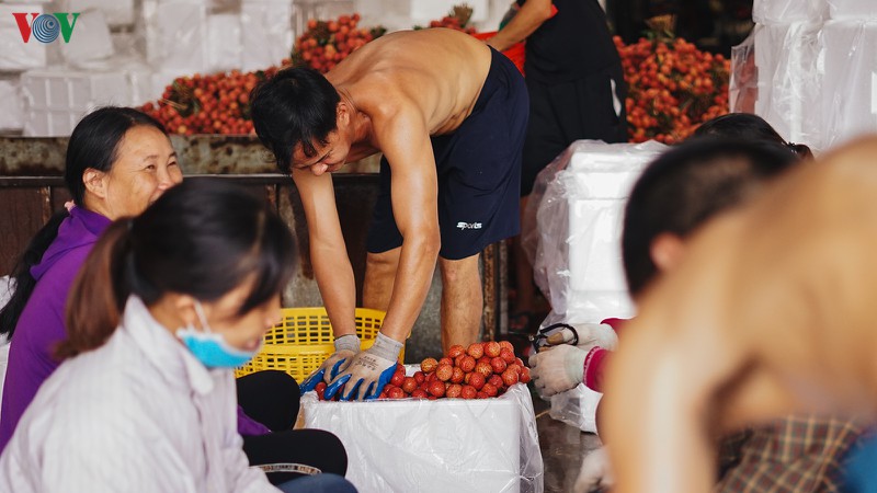 vai thieu luc ngan bat dau vao chinh vu  hinh 15