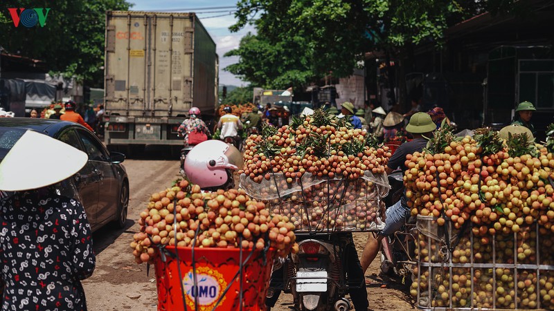 vai thieu luc ngan bat dau vao chinh vu  hinh 1