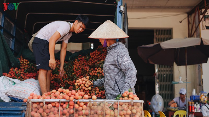 vai thieu luc ngan bat dau vao chinh vu  hinh 6