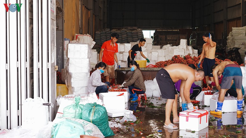 vai thieu luc ngan bat dau vao chinh vu  hinh 8