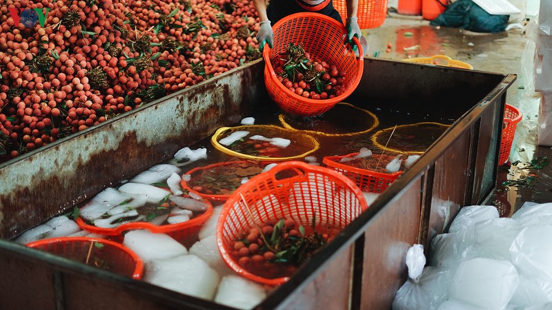 vai thieu luc ngan bat dau vao chinh vu  hinh 10