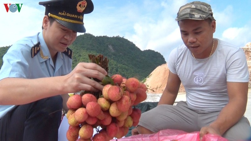 tin hieu vui cho xuat khau vai qua tuoi sang trung quoc hinh 1
