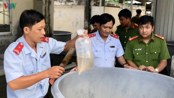 tieu huy hon 570.000 con tom giong khong qua kiem dich hinh 2