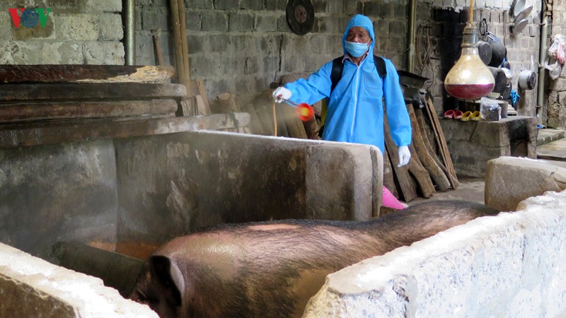 dich ta lon chau phi tro lai, nong dan lai chau trang tay khi tai dan hinh 2