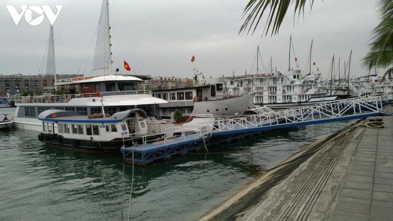 hon 100 ho kinh doanh tau du lich quang ninh xin tam dung hoat dong hinh 1