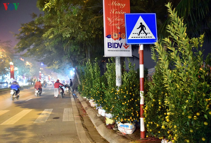 nhoc nhan ban dao, quat muu sinh trong dem dong ha noi hinh 2