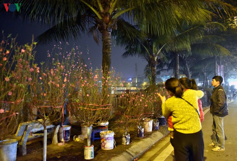 nhoc nhan ban dao, quat muu sinh trong dem dong ha noi hinh 9