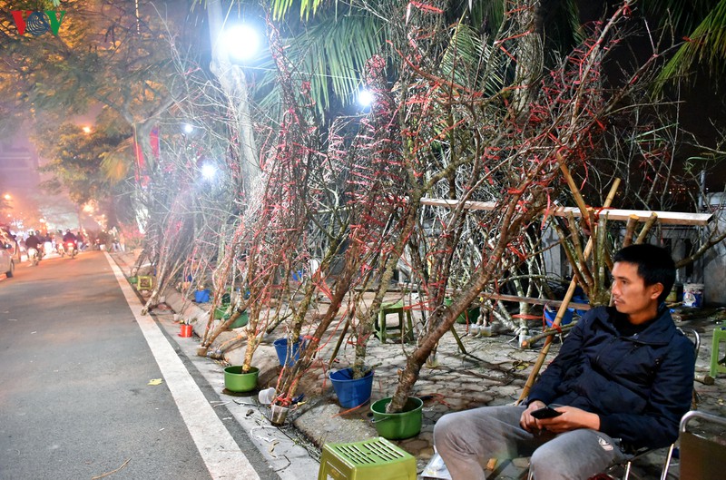 nhoc nhan ban dao, quat muu sinh trong dem dong ha noi hinh 11