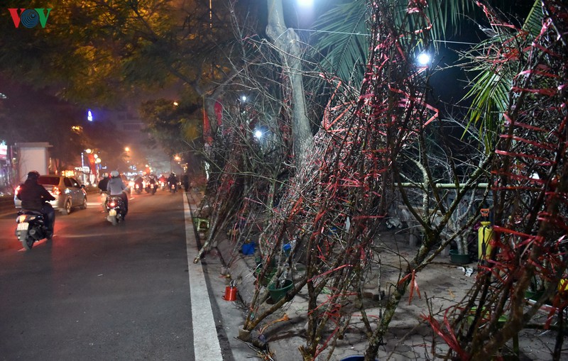 nhoc nhan ban dao, quat muu sinh trong dem dong ha noi hinh 12