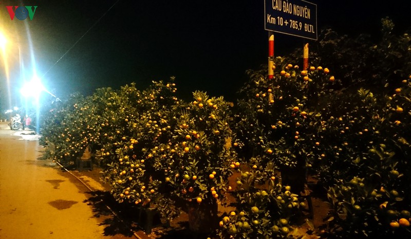 nhoc nhan ban dao, quat muu sinh trong dem dong ha noi hinh 4