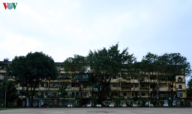 pho phuong ha noi tinh lang buoi sang mung 1 tet hinh 2