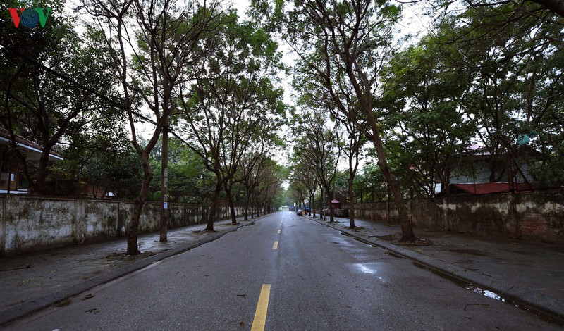 pho phuong ha noi tinh lang buoi sang mung 1 tet hinh 1