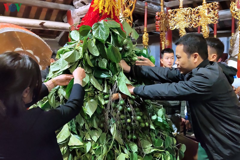 hang van du khach du le khai hoi den soc xuan canh ty 2020 hinh 21