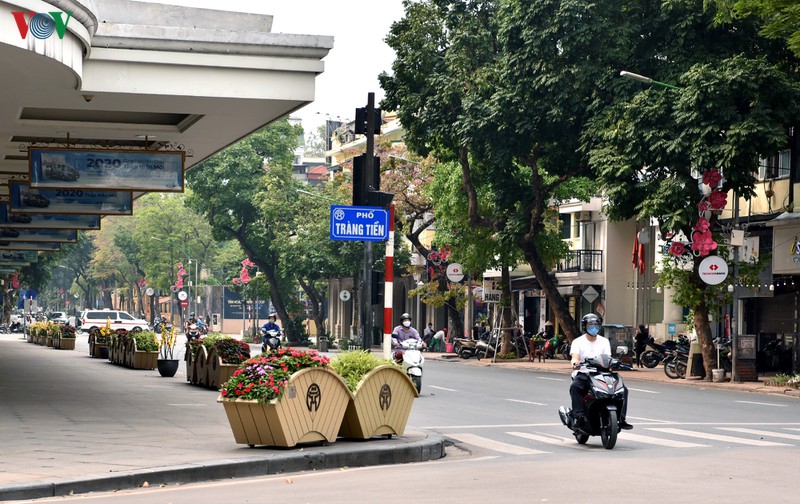 ha noi nhung ngay chong dich: pho van xanh va hoa van khoe sac, toa huong... hinh 11