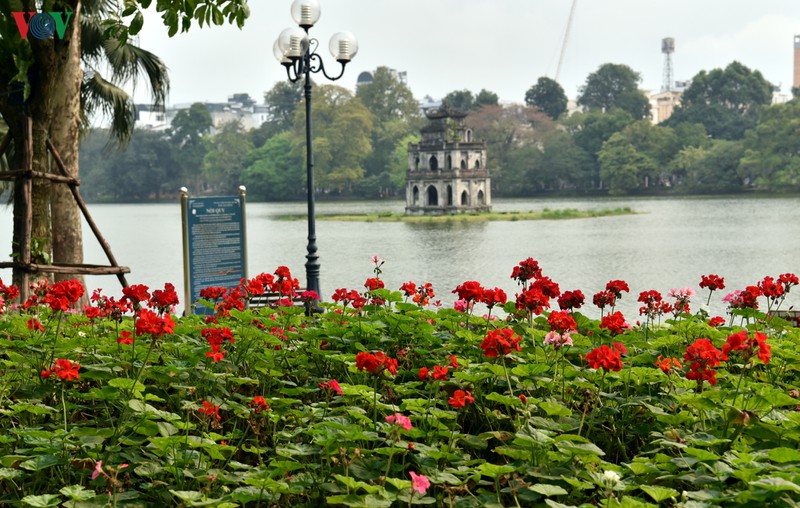 ha noi nhung ngay chong dich: pho van xanh va hoa van khoe sac, toa huong... hinh 3