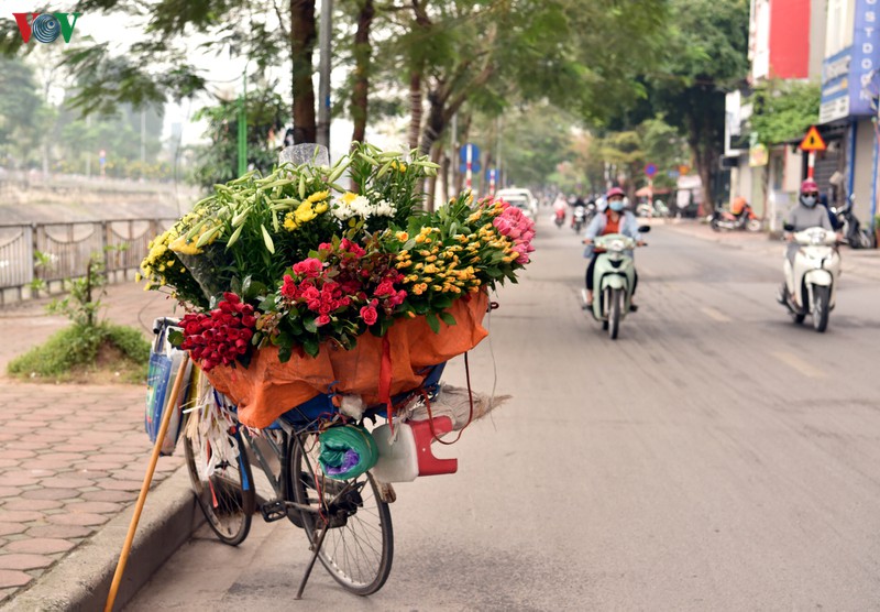 ha noi nhung ngay chong dich: pho van xanh va hoa van khoe sac, toa huong... hinh 5