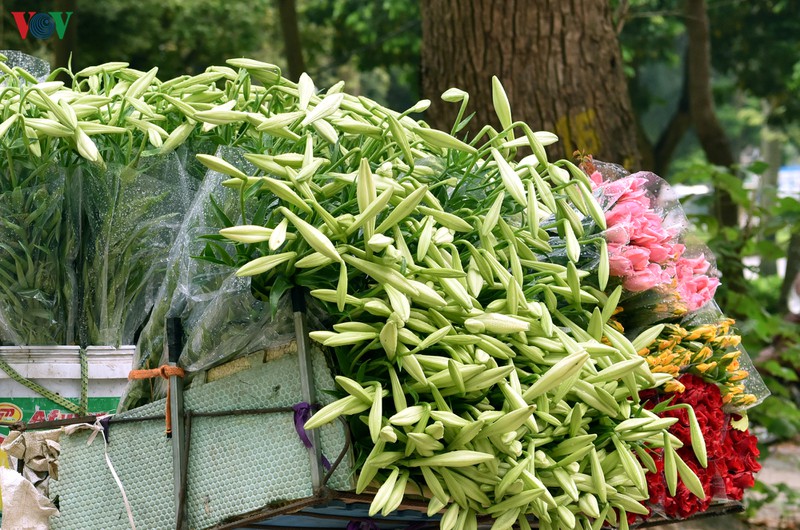 ha noi nhung ngay chong dich: pho van xanh va hoa van khoe sac, toa huong... hinh 7