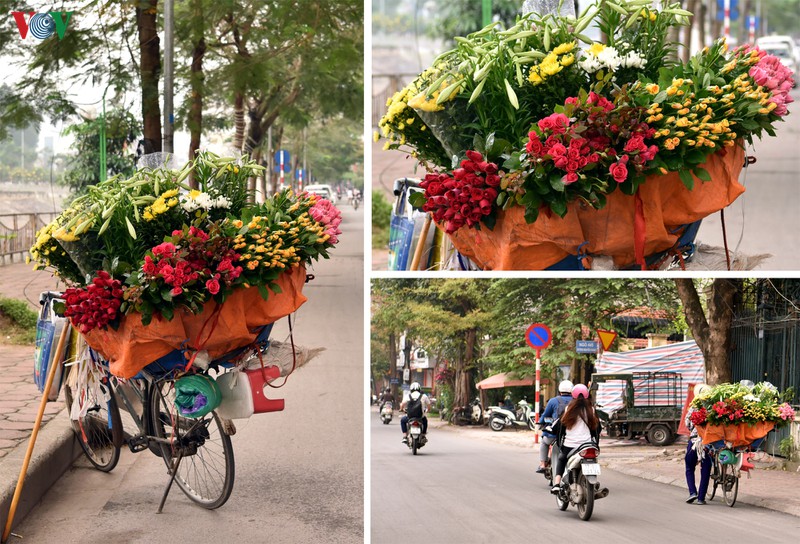 ha noi nhung ngay chong dich: pho van xanh va hoa van khoe sac, toa huong... hinh 6