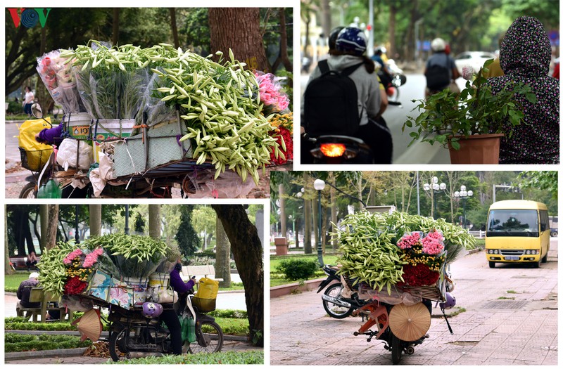 ha noi nhung ngay chong dich: pho van xanh va hoa van khoe sac, toa huong... hinh 8