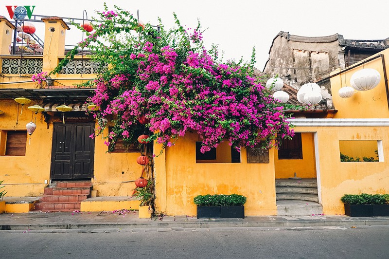 pho co hoi an van dep nao long trong nhung ngay cung ca nuoc chong dich hinh 11