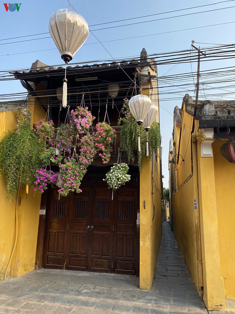 pho co hoi an van dep nao long trong nhung ngay cung ca nuoc chong dich hinh 3